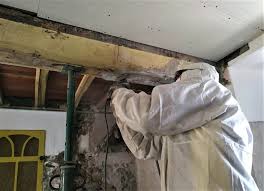 Control de Mosquitos